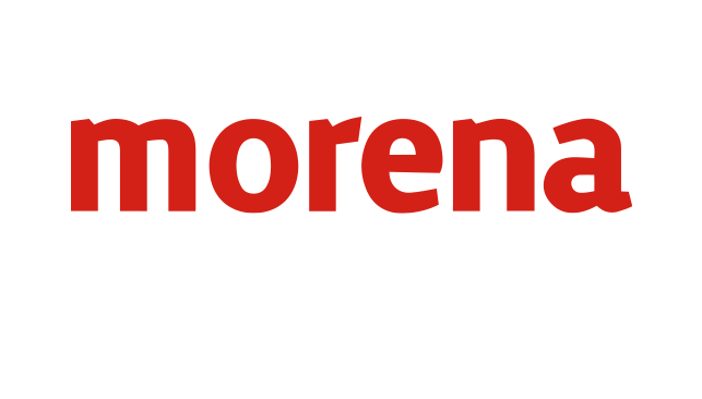 Consejo Nacional Morena